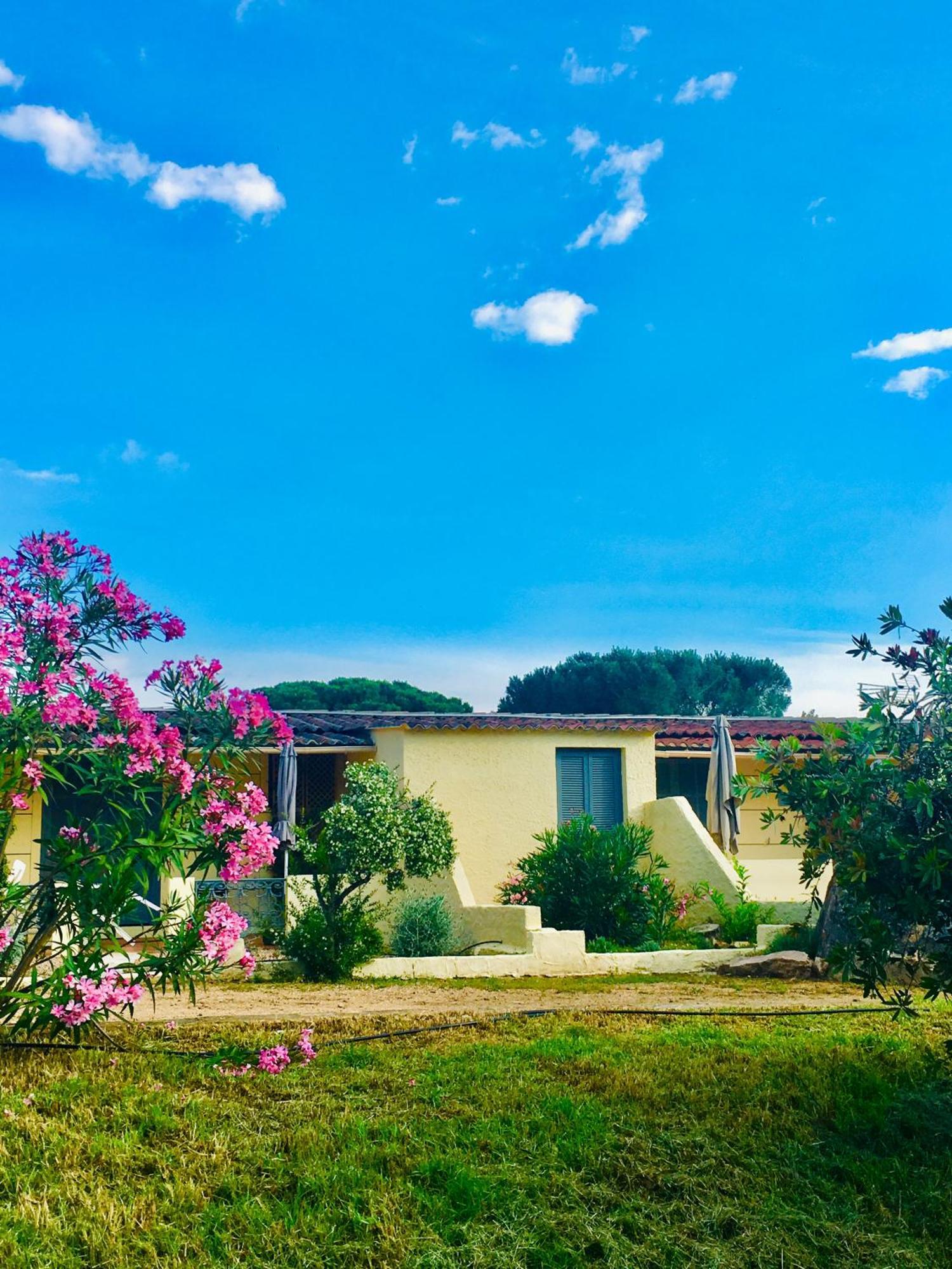 Bungalows Filippi Porto-Vecchio  Dış mekan fotoğraf